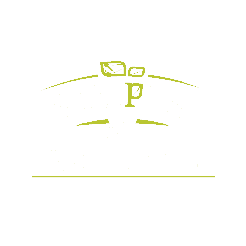 Simple Brands