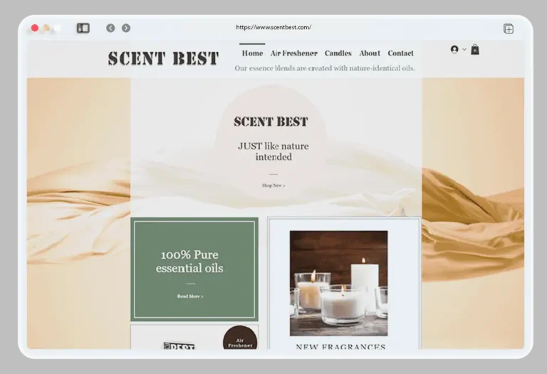 Before Website